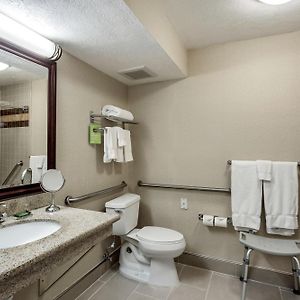 King Room Disability Access